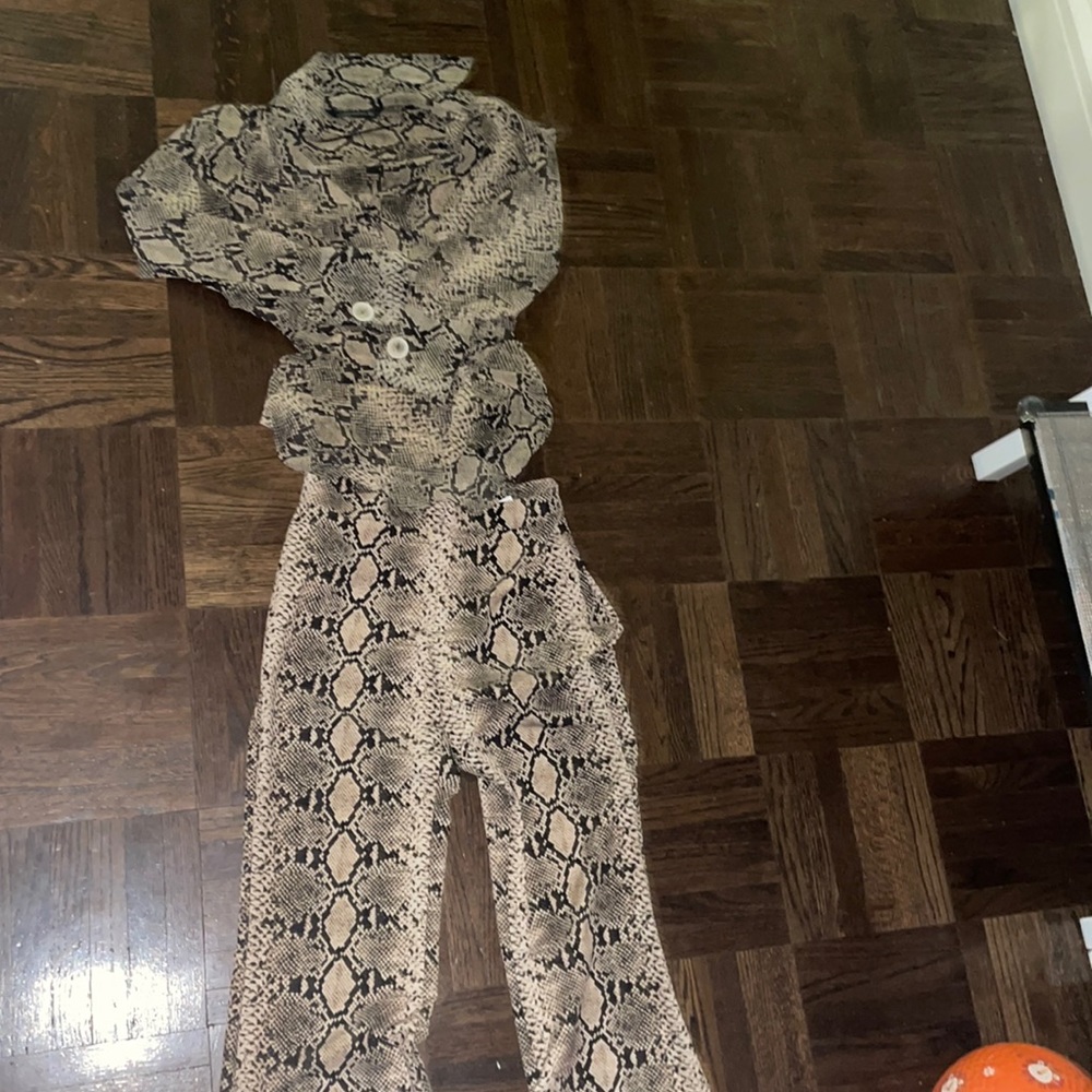 Zara snake print matching set